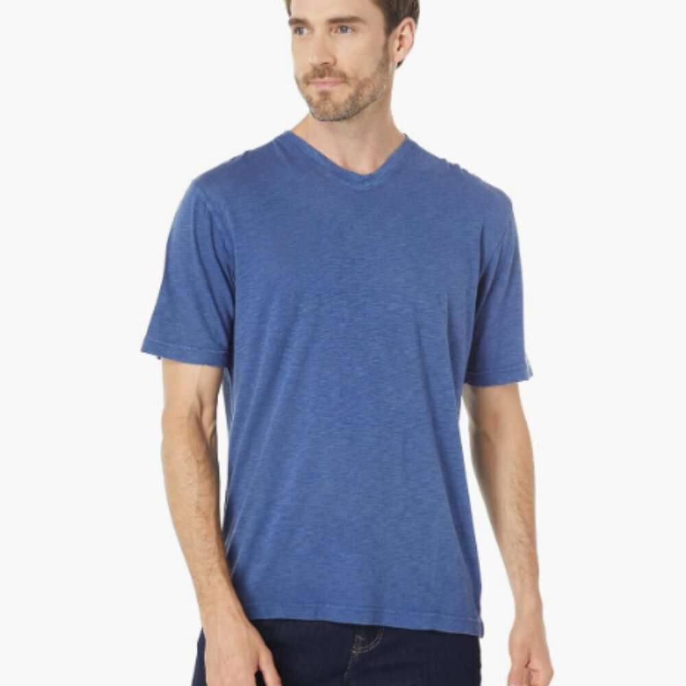 Classic Pima Cotton V-Neck T-Shirt – Blue – Size XL
